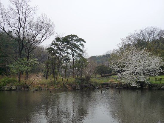 Children's Natural Park